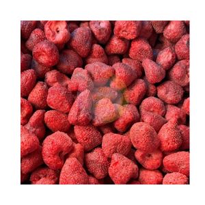 สตรอว์เบอร์รีอบแห้งสำหรับไอศกรีม เวียดนาม ครั้นช์ สตรอว์เบอร์รี บรรจุซิปล็อคในหน่วยเป็นออนซ์ - ขนมผลไม้สตรอว์เบอร์รีเพื่อสุขภาพ ผลิตด้วยกระบวนการฟรีซดราย - Product Image 1