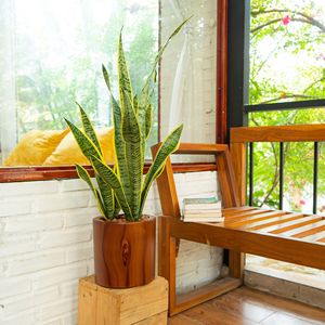 7.8 dentro. Vaso fioriera in plastica di legno scuro per la cura di fiori e piante - Product Image 2