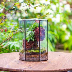 Terrarium en verre rustique en forme de cabane, mini décoration artistique géométrique, serre d'intérieur avec couvercle pivotant, pot de fleurs de table pour plantes succulentes, maison et jardin - Product Image 5