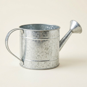 High Quality Galvanized Metal Watering Can With Long Spout For Indoor Outdoor <b>Garden</b> Plant Durable Rust-Resistant Iron Water Pot - Product Image 1