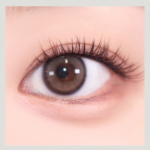 Pestañas al por mayor Ollio Korean K-Beauty sin pegamento, paquete múltiple, color marrón suave, hechas en Corea, tira completa - Product Image 2