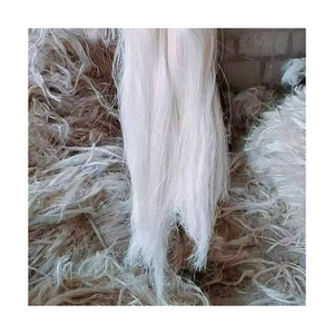 Fibres de sisal de qualité supérieure emballées pour la vente en gros et les applications industrielles - Product Image 6