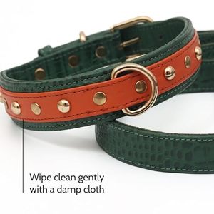Collar de Cuero Hecho a Mano para Perro con Etiquetas Personalizadas de Latón Dorado Sólido a Precio de Mayoreo - Product Image 3