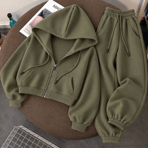 2026 <b>Women</b>’s Light Blue Zip Up Hoodie <b>Jogger</b> Set Two Piece <b>Fleece</b> Tracksuit Casual Sportswear Sweat Suit Wholesale - Product Image 3