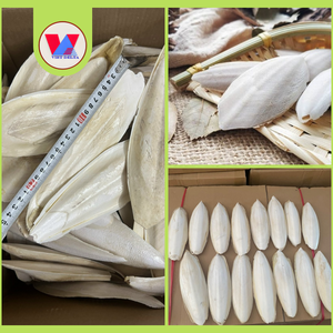 Hueso de Sepia Natural de Alta Calidad, Cortado en Trozos de 6cm, para Aves, Loros, Juguete Masticable para Mascotas, Venta al Por Mayor - Product Image 2