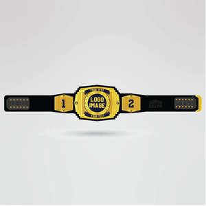 <b>Gold</b> Championship <b>Belt</b> with Custom Text & Logo Design Leather Material Four Side Plates-Martial Arts Title <b>Belt</b> - Product Image 1