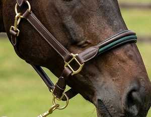 Stylish Equestrian Control <b>Halter</b> with Leather and Rope Durable Design Customizable Color & Logo High Quality QC - Product Image 2
