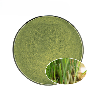 Bulk Supply 100% Natural <b>Wheat</b> Grass Powder Herbal Health Food Grade <b>Wheat</b> Grass Powder Support Overall Body Wellness & Vitality - Product Image 6
