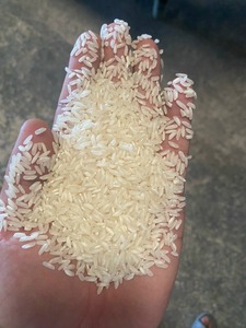 Riz blanc à grains longs super économique pour la vente en gros, 5% de brisures, conditionnement 1kg, 5kg, 25kg, provenant de l'usine du Vietnam - Product Image 5