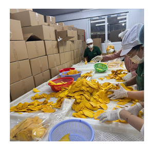 ผู้ส่งออกมะม่วงอบแห้งเกรดพรีเมียม – ขายส่งผลไม้มะม่วงอบแห้งธรรมชาติ เนื้อนุ่มเคี้ยวเพลิน - Product Image 4