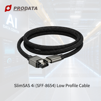 Kabel Backplane Server Profil Rendah SlimSAS SFF-8654 PCIe 4.0 16GT/s