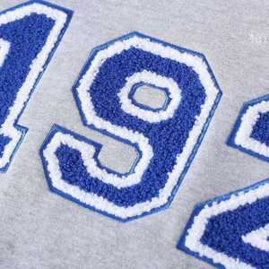 Sudadera Gris con Cuello Redondo Zeta Phi Beta 1920, Bordado Chenille, Ropa de la Hermandad Griega, Sudadera Unisex de Algodón Premium - Product Image 4