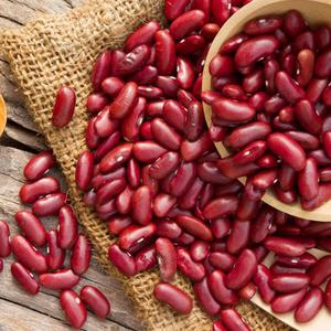 Frijoles Rojos Secos de Primera Calidad con Granos Limpios para Compradores Mayoristas y Servicios Profesionales de Suministro de Alimentos - Product Image 1