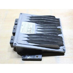 ECUs y Módulos de Computación Usados de Carnival 391014X810 - Product Image 2