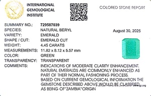 Esmeralda Octogonal Verde de 4.45 Quilates de Zambia, Gema Suelta ETiS-313 - Product Image 6