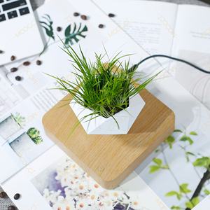 Haut de gamme Commercial créatif artificiel lévitation magnétique bonsaï flottant intérieur maison bureau <span class=keywords><strong>d</strong></span>écoration Air plante Pot - Product Image 2
