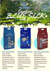 [Última Cosecha] Arroz Jazmín Aromático de Grano Largo, Selección del Chef, Arroz Blanco de Exportación con Grano Partido 5KG 10KG 25KG 50KG Vietnam - Product Image 3