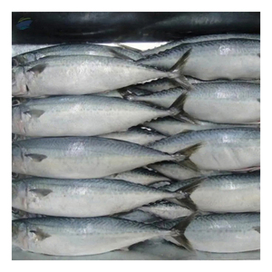 Buen Precio, Pescado Macarela Congelado Fresco - Product Image 6