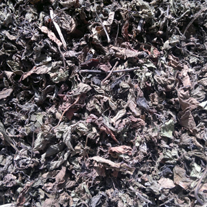 ผู้ผลิตเวียดนาม จำหน่ายเยลลี่หญ้าดำแบบขายส่ง - Product Image 3