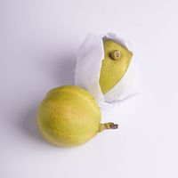 Papier Glassine Semi-transparent de Qualité Alimentaire, Papier d'Emballage Résistant à l'Huile pour Fruits, Pâtisseries, Bonbons et Emballages Alimentaires