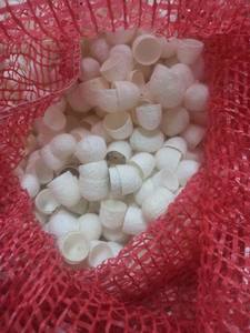 เส้นใยไหมสีขาวธรรมชาติเป็นมิตรกับสิ่งแวดล้อมเส้นใยไหมสำหรับปั่นด้ายไหมงานหัตถกรรมเวียดนาม - Product Image 6