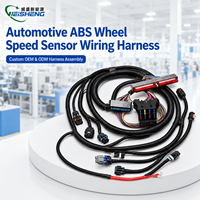 Harness Kabel Sensor Kecepatan Roda ABS Otomotif Kustom, Tabung Bergelombang, Kotak Sekring Multi Pin, Perakitan Kabel Sensor