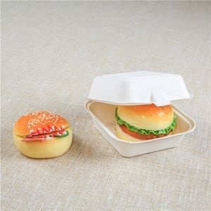 Premium Disposable Lunch Box 6x6 Inches Bagasse Clamshell Container for Restaurants and Catering Food <b>Storage</b> Container Services - Product Image 3