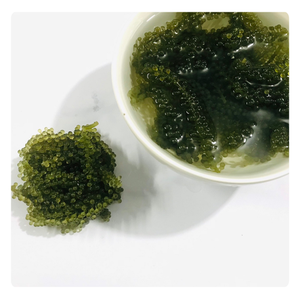 Algues Marines Déshydratées du Vietnam, Caviar Vert Séché de Haute Qualité pour le Marché d'Exportation - Product Image 4