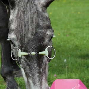 Mors à étrier pour cheval, mors à anneaux mobiles en acier inoxydable, mors à anneaux mobiles pour l'entraînement et l'équitation des chevaux - Product Image 3