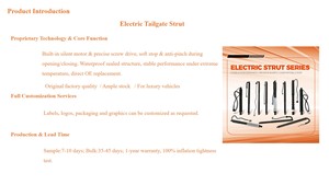 Portón Trasero Eléctrico de Fábrica para <span class=keywords><strong>Renault</strong></span> <span class=keywords><strong>Talisman</strong></span>, Número de Pieza 904524541R, Elevador de Maletero Eléctrico, <span class=keywords><strong>Precio</strong></span> al por Mayor - Product Image 6