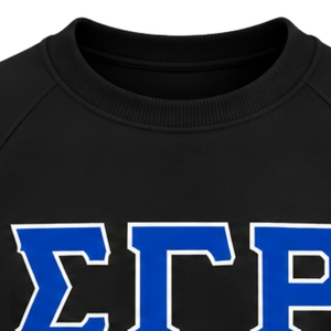 เสื้อสเวตเชิ้ตกรีกสำหรับผู้หญิงแบบกำหนดเองของ Sigma Gamma Rho พิมพ์ลาย Sorority ผ้าฟลีซ คอกลม ลำลอง เสื้อผ้าสำหรับวิทยาลัย แฟชั่นสตรีทแวร์ - Product Image 3