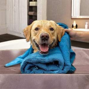 Toalla para mascotas superabsorbente de alta calidad para perros y gatos, tela suave y ligera de secado rápido para el baño y el cuidado de mascotas - Product Image 3