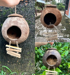 Casa para Pájaros de Coco Natural / Nido para Pájaros Hecho con Conchas de Coco, Fabricado en Green Future Vietnam - Product Image 5