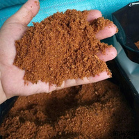 Meilleur Brique de Fibre de Coco - Bloc de Fibre de Coco Premium 5kg 650g/1.4 Lbs |   100% Biologique |   Faible équilibre du pH EC |   ECO2GO VIETNAM
