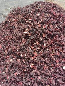 ดอกชบาแห้งออร์แกนิค2025บัวสีน้ำเงินสำหรับบำรุงผิวและชาเพื่อสุขภาพ - Product Image 3