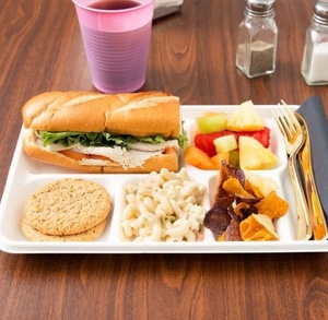 Plateau alimentaire robuste en bagasse à 5 compartiments pour aliments chauds et froids, idéal pour le riz, le curry, les collations et les accompagnements, emballage à emporter - Product Image 1