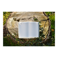 Monument funéraire en porcelaine blanc de style européen pour adulte italien, 15 x 23 x 17 cm, avec photo, pour cercueil et commémoration