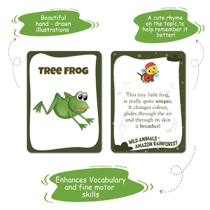 Tarjetas Educativas Biplob's de Animales de la Selva Amazónica, Personalizadas para Amazon, 28 Tarjetas Educativas de Doble Cara con Imágenes y Rimas, Certificación CPC - Product Image 5