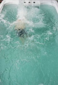 Système de natation Balboa pour natation, piscine acrylique autoportante de 5.8m, sans enfant, natation en plein air, <span class=keywords><strong>Spa</strong></span> - Product Image 4