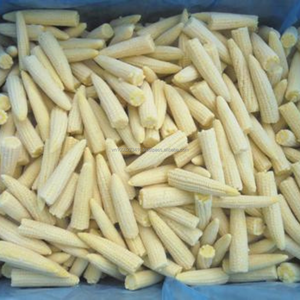 Maïs bébé surgelé IQF de qualité supérieure, entier et en tranches, emballé sous vide, 10 kg, export en vrac du Vietnam, fournisseur d'ingrédients alimentaires B2B - Product Image 6