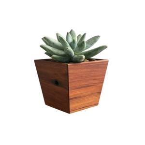Maceta Cuadrada de Madera Hecha a Mano, Maceta de Madera Natural para Escritorio, Contenedor de Plantas Moderno de Estilo Rústico para Interiores al Mejor Precio - Product Image 5