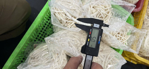 Direct Factory Sale Frozen Shredded Taro No Additive Natural Texture for UK Healthy Food Market Wholesale Low Price - Product Image 4