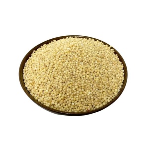 Graines de sorgho rouge et blanc biologiques non-OGM, surgelées LQF, fabricant leader de graines de haute qualité à vendre - Product Image 5