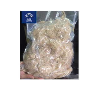 OFFRE LIMITÉE : Algues Marines Séchées Écologiques et Sûres, Pur Extrait d'Algues Marines Idéal pour l'Épaississement des Aliments et la Préparation de Boissons – Fournisseur - Product Image 1