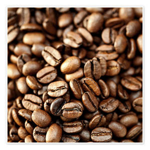 Grano de Café Robusta Premium para Venta al por Mayor y Suministro a Granel, Ideal para Tostar y Obtener un Sabor Fresco - Product Image 2