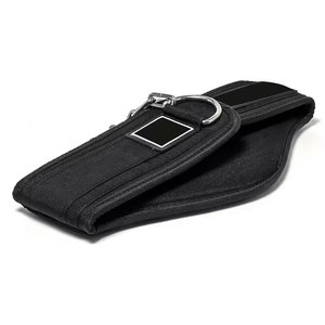 Hot Selling Weightlifting Dip Belts for Bodybuilding <b>Training</b> <b>Weighted</b> Dips Chain Pull Ups with Back Support - Product Image 3