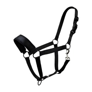 Custom Designed Equestrian Stainless Steel Halter Soft Padding Horse <b>Head</b> Collar Nose-Band <b>Head</b>-Band Rope Type High Quality - Product Image 2