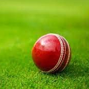 <b>Cricket</b> Ball Sports <b>Equipment</b> Production Bulk Order <b>Cricket</b> Ball OEM ODM Manufacturer Private Label <b>Cricket</b> Ball - Product Image 4