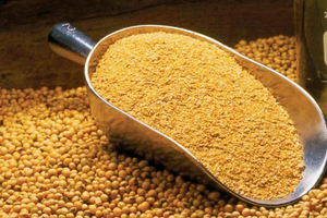 Farine de soja fermentée à sec KNG 3-5mm Jaune naturel 25kg 50kg 600kg Alimentation animale pour bovins, porcs, volailles, moutons, chèvres - Product Image 3