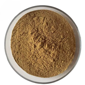 Poudre de racine de pissenlit 100 % pure et naturelle de qualité alimentaire OEM/ODM, poudre naturelle de Taraxacum Officinale pour tisanes et café - Product Image 4